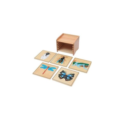 CABINET DE 5 PUZZLES DE ZOOLOGIE(5 puzzles insectes)