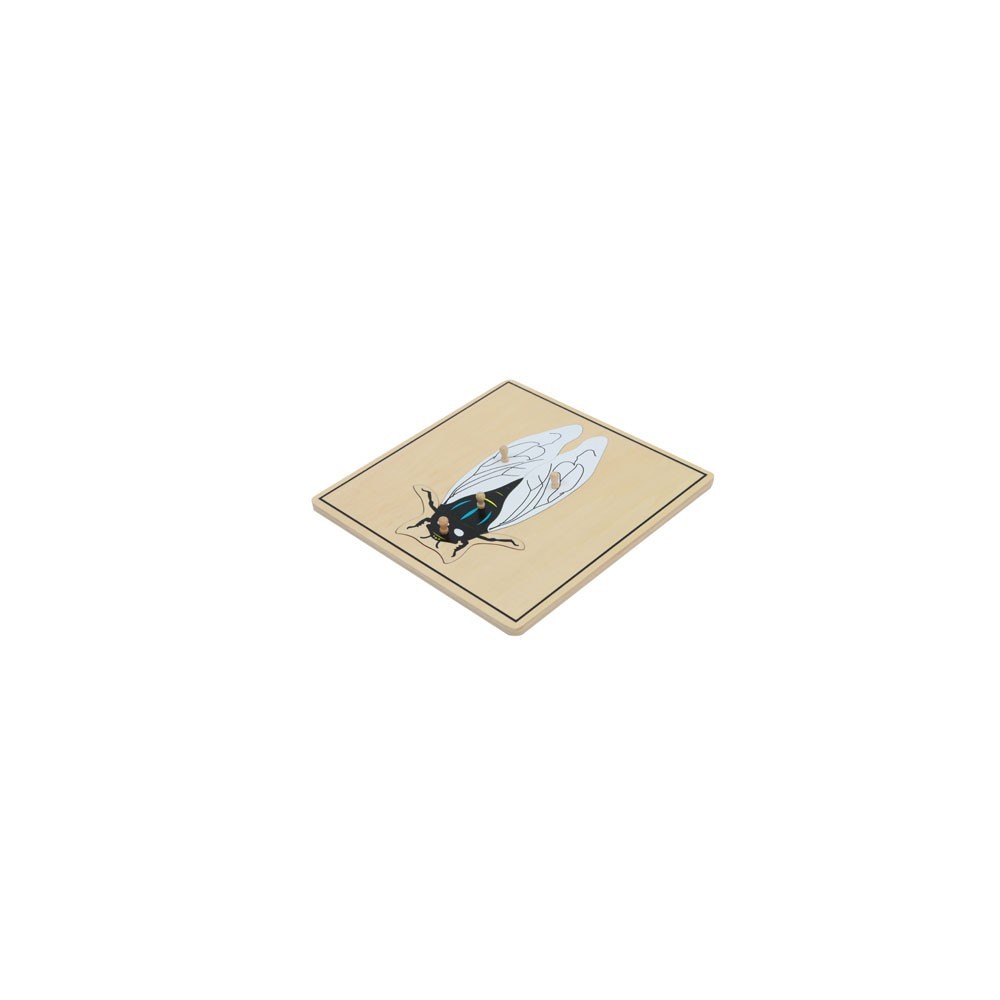 PUZZLE DE LA MOUCHE