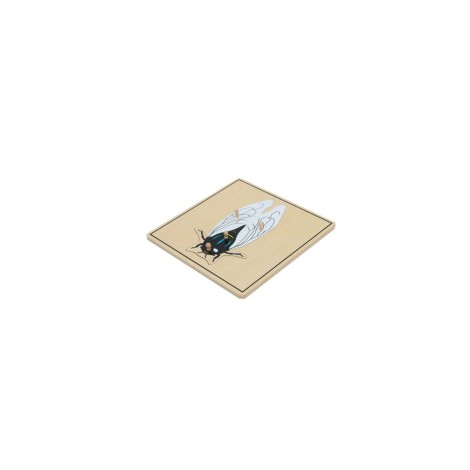 PUZZLE DE LA MOUCHE