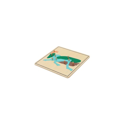 PUZZLE DU CRIQUET