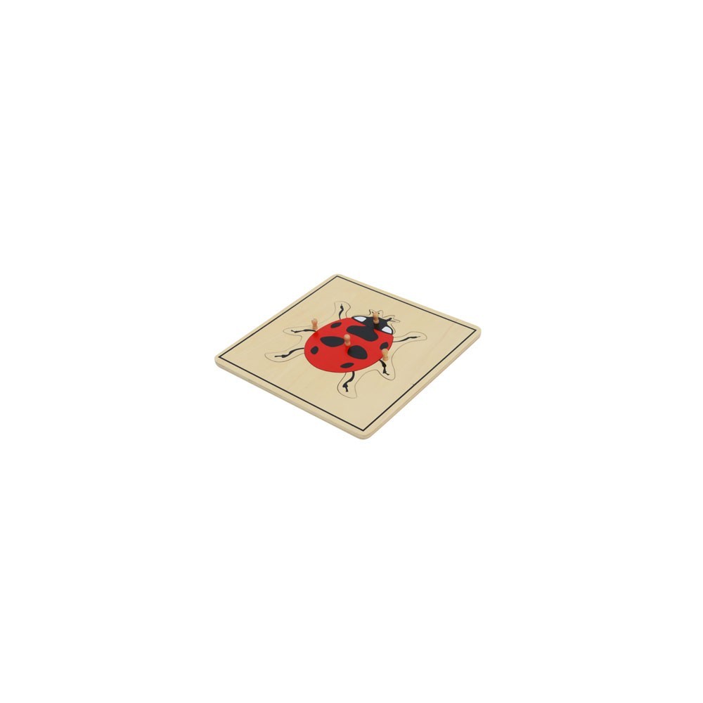 PUZZLE DE LA COCCINELLE