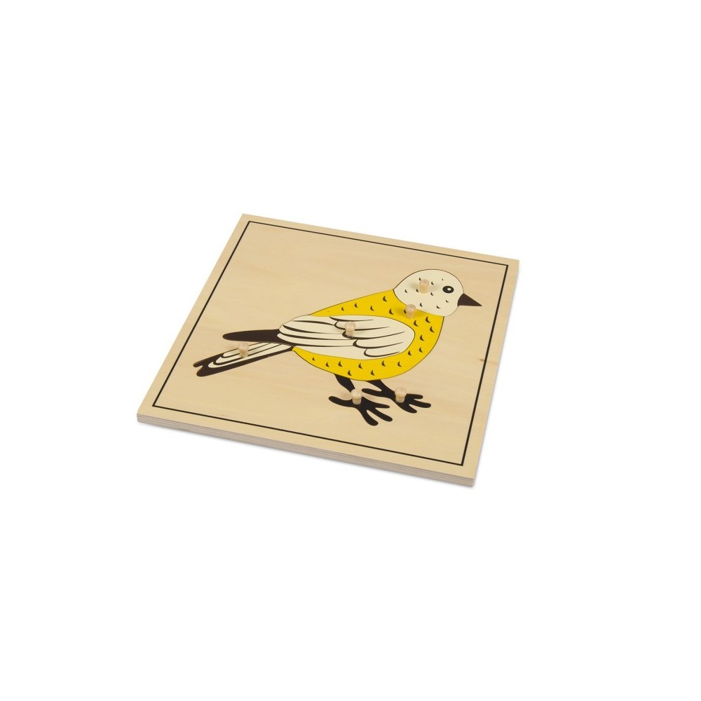 PUZZLE SQUELETTE DE L'OISEAU