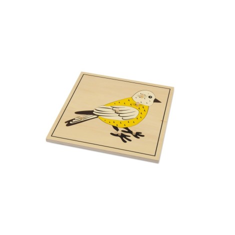 PUZZLE SQUELETTE DE L'OISEAU
