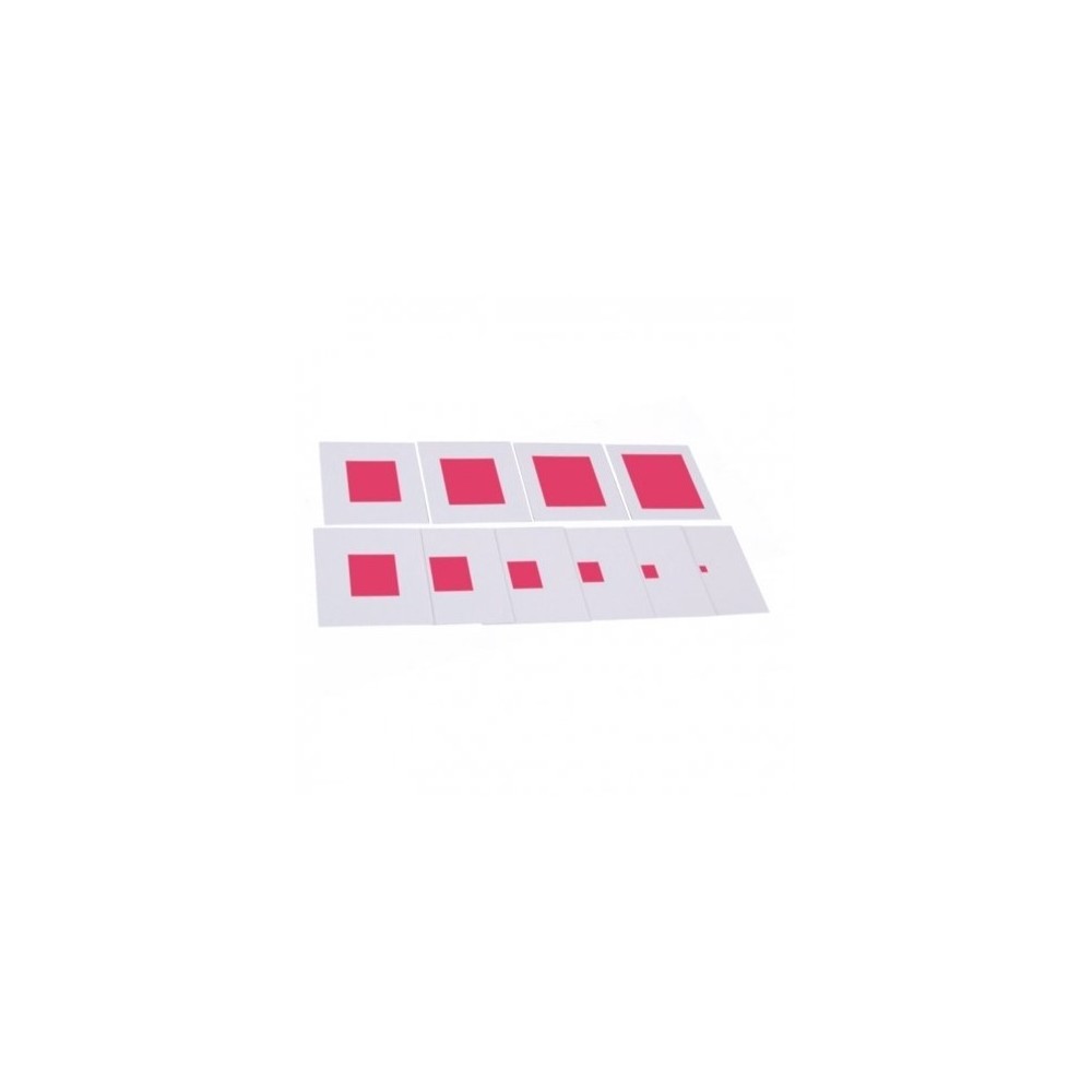CARTES DE CONTRÔLE TOUR ROSE