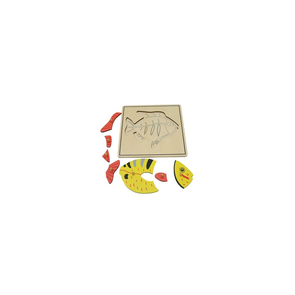 PUZZLE SQUELETTE DU POISSON