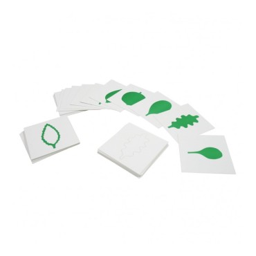 CARTES POUR CABINET DE BOTANIQUE