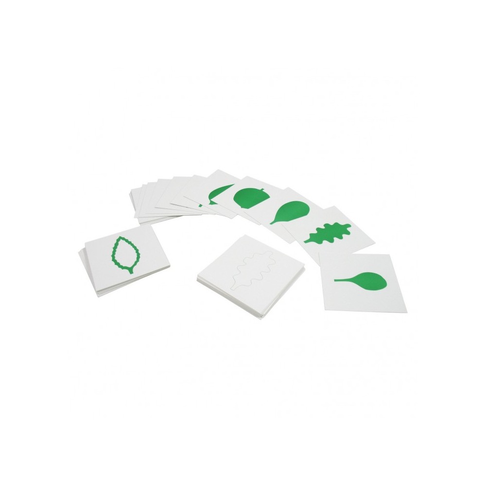 CARTES POUR CABINET DE BOTANIQUE