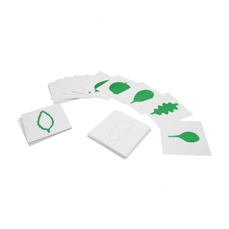 CARTES POUR CABINET DE BOTANIQUE