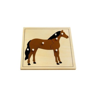 PUZZLE DU CHEVAL
