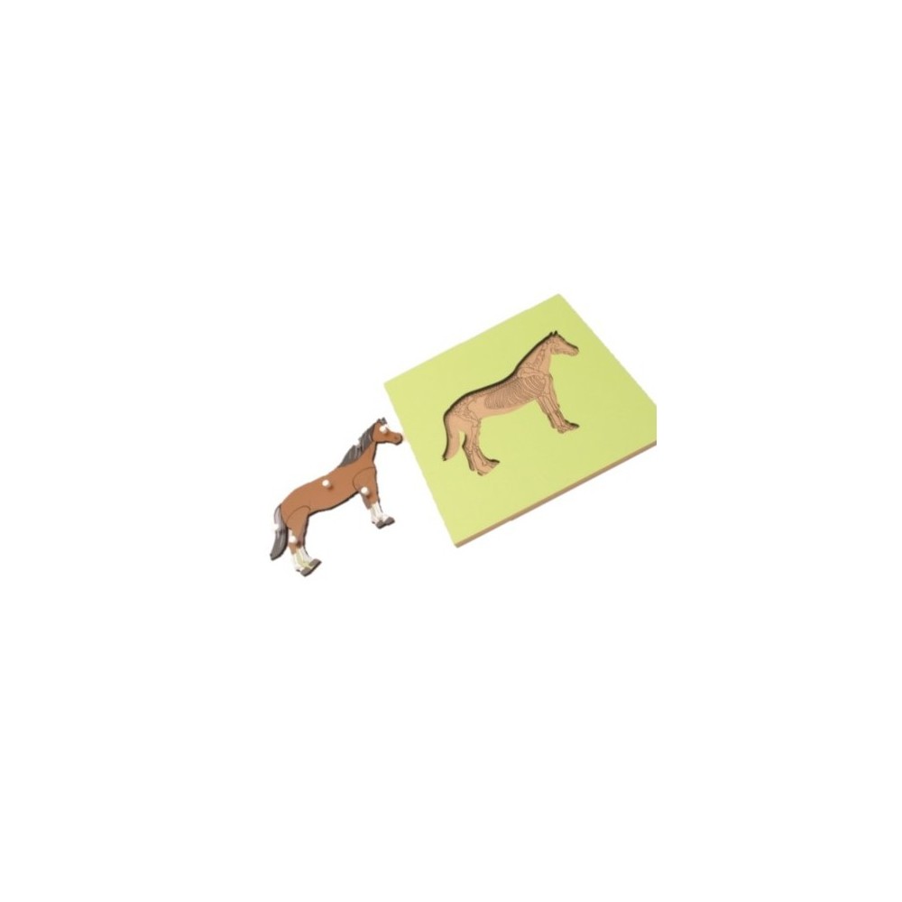 PUZZLE SQUELETTE DU CHEVAL