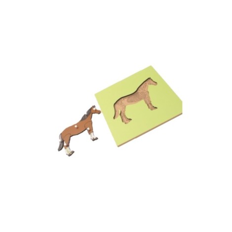 PUZZLE SQUELETTE DU CHEVAL