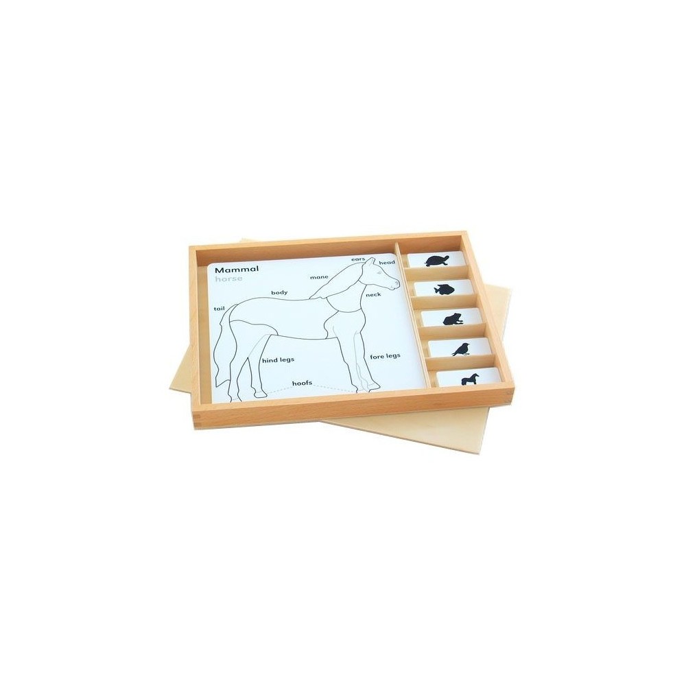 ENSEMBLE DE CARTES POUR CABINET DE ZOOLOGIE