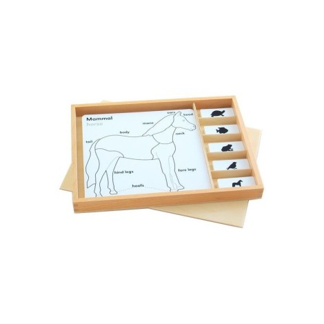 ENSEMBLE DE CARTES POUR CABINET DE ZOOLOGIE