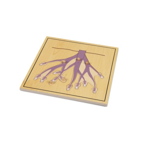PUZZLE DE LA RACINE