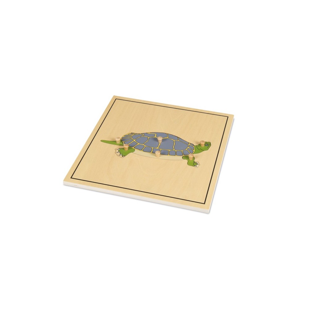 PUZZLE DE LA TORTUE