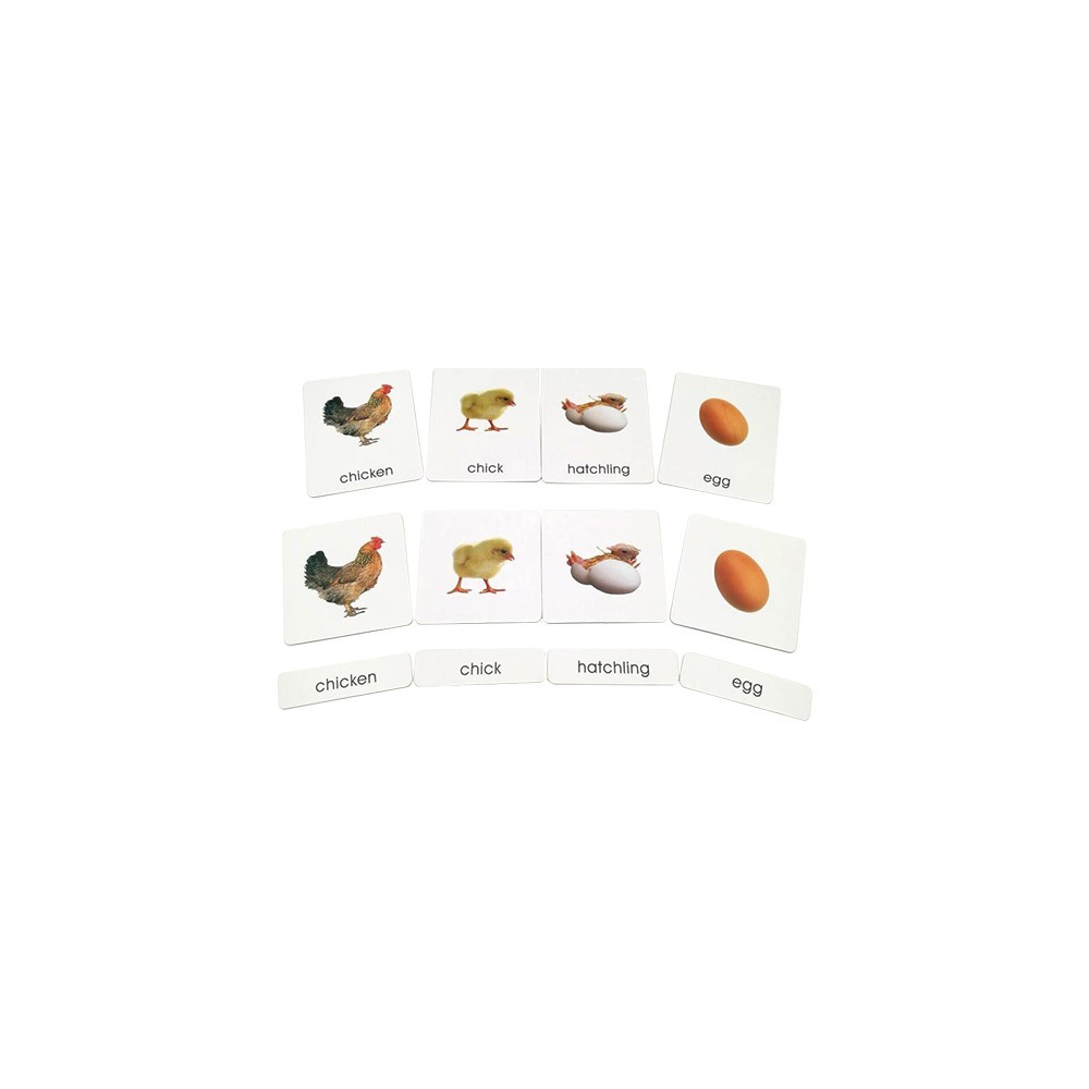 CARTES DE NOMENCLATURE EN FRANÇAIS - CYCLE DE VIE DU POULET