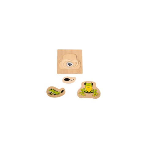 PUZZLE MULTICOUCHE - CYCLE DE VIE DE LA GRENOUILLE