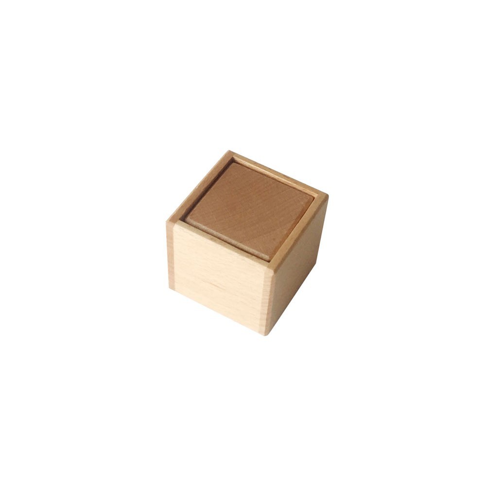 OBJETS 3D : CUBE AVEC BOÎTE D'ENCASTREMENT